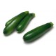 Courgette verte